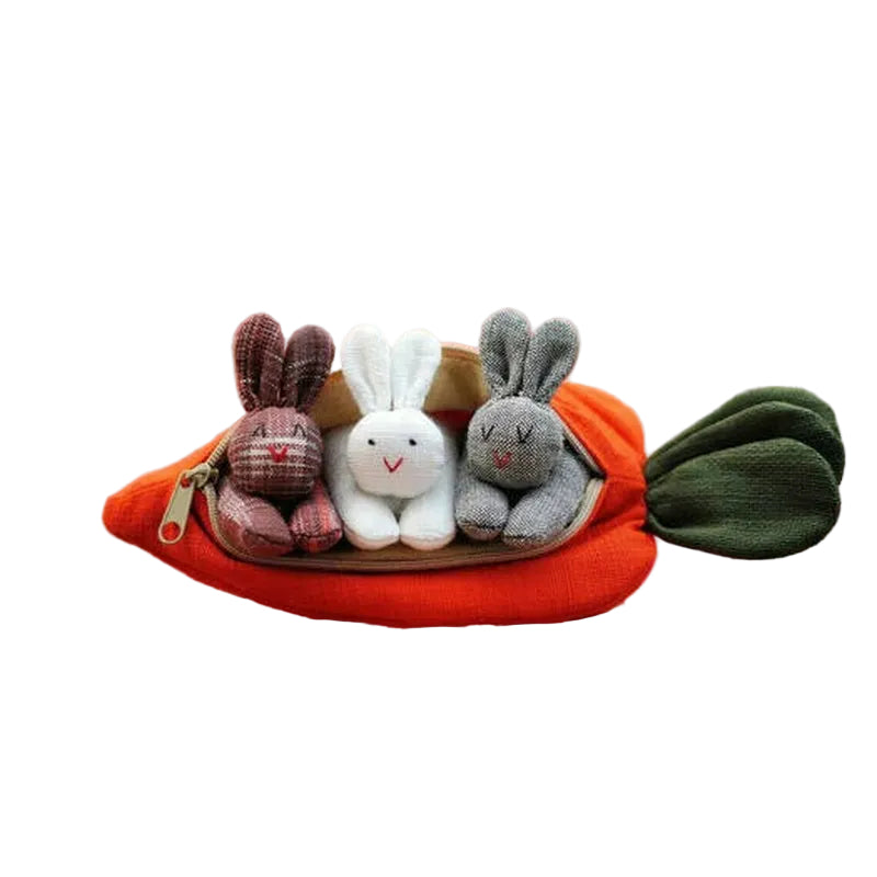 🎁 Hide-and-Seek Bunnies in Carrot Pouch