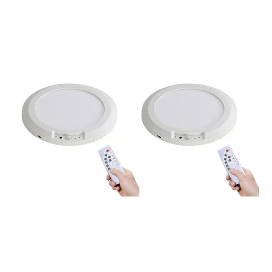 Motion Sensor Ceiling Light