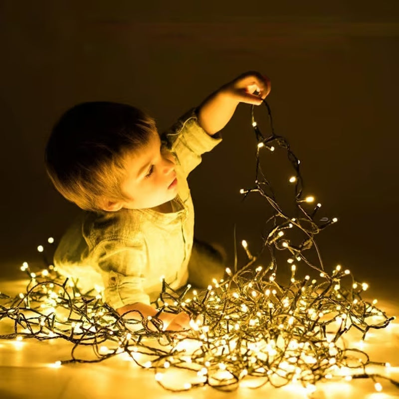 🎄Outdoor and Indoor Christmas Lights