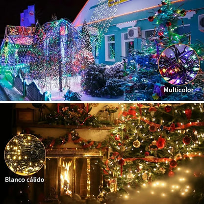 🎄Outdoor and Indoor Christmas Lights