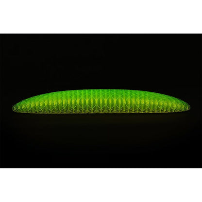 🔥Worm Big Fidget Toy